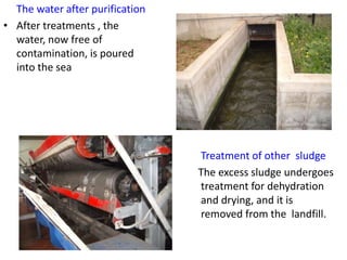 The water after purification
• After treatments , the
water, now free of
contamination, is poured
into the sea
Treatment of other sludge
The excess sludge undergoes
treatment for dehydration
and drying, and it is
removed from the landfill.
 