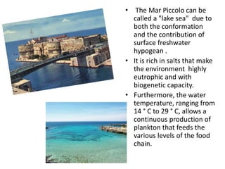 • The Mar Piccolo can be
called a "lake sea" due to
both the conformation
and the contribution of
surface freshwater
hypogean .
• It is rich in salts that make
the environment highly
eutrophic and with
biogenetic capacity.
• Furthermore, the water
temperature, ranging from
14 ° C to 29 ° C, allows a
continuous production of
plankton that feeds the
various levels of the food
chain.
 