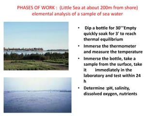 PHASES OF WORK : (Little Sea at about 200m from shore)
elemental analysis of a sample of sea water
• Dip a bottle for 30'''Empty
quickly soak for 3' to reach
thermal equilibrium
• Immerse the thermometer
and measure the temperature
• Immerse the bottle, take a
sample from the surface, take
it immediately in the
laboratory and test within 24
h
• Determine :pH, salinity,
dissolved oxygen, nutrients
 