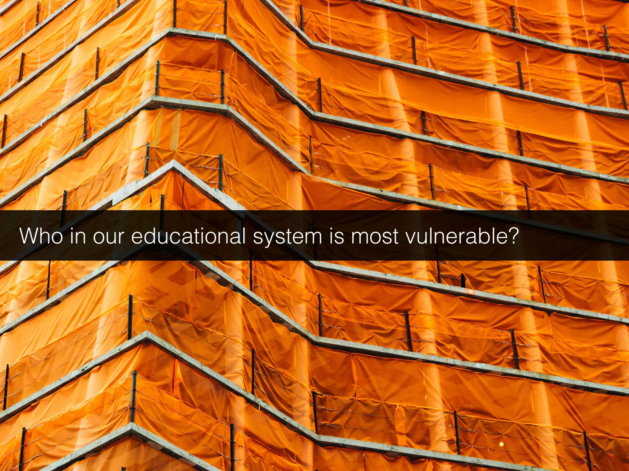 Who in our educational system is most vulnerable?
 