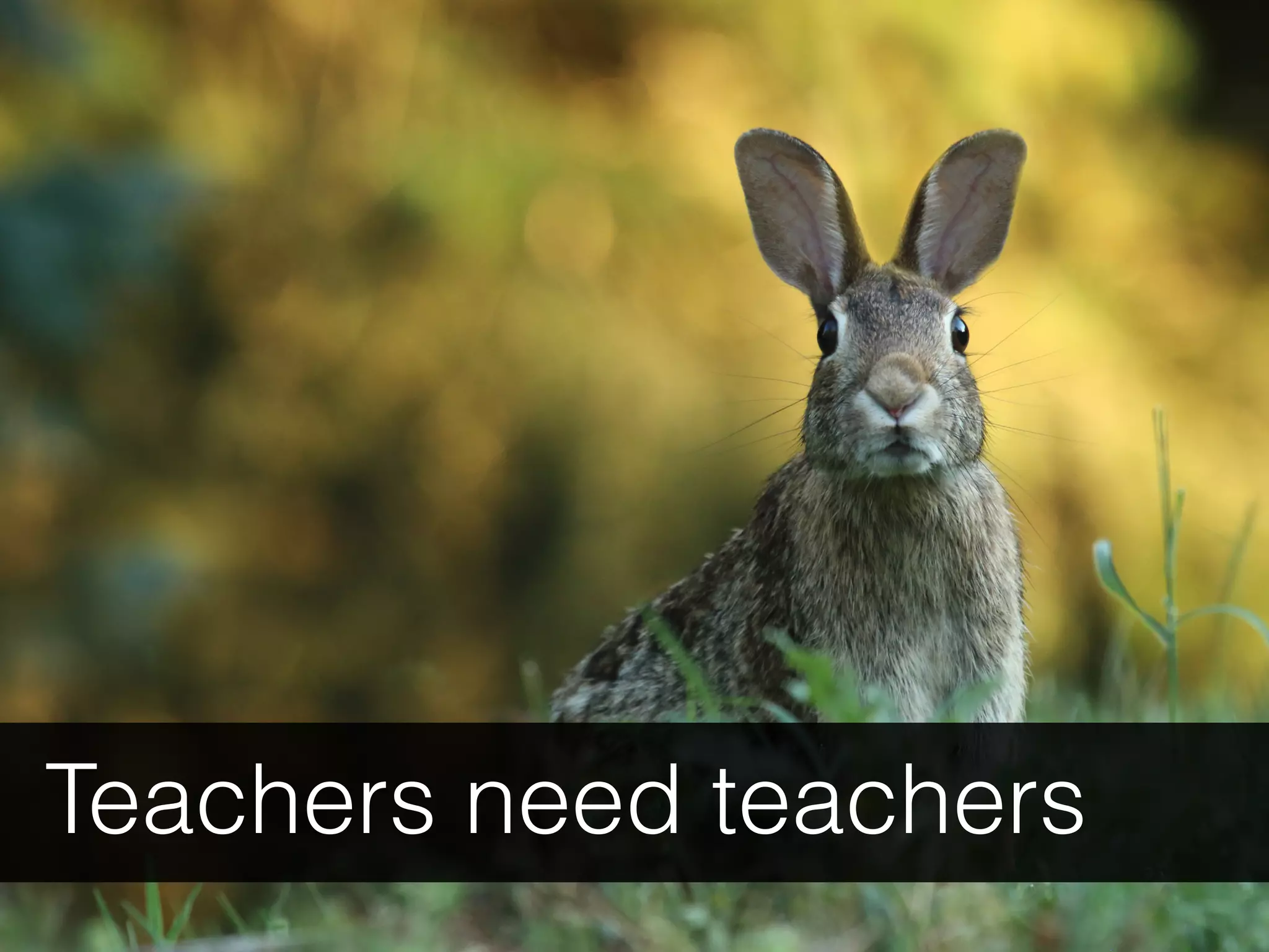 Teachers need teachers
 