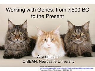 Working with Genes: from 7,500 BC to the Present Allyson Lister CISBAN, Newcastle University Image: PD, Wikimedia Commons, http://commons.wikimedia.org/w/index.php?title=User:Ankord&action=edit&redlink=1 Presentation/Slides: Allyson Lister , CCSA 2.0 UK 