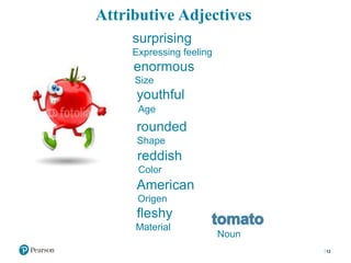 Attributive Adjectives
12
surprising
Expressing feeling
enormous
Size
youthful
Age
rounded
Shape
reddish
Color
American
Origen
fleshy
Material
Noun
 