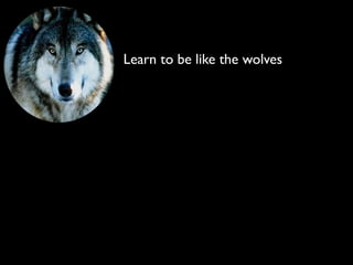 Learn to be like the wolves
 
