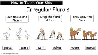 Irregular Plurals
© 2020 reading2success.com
Middle Sounds
Change
Drop the f and
add ves
They Stay the
Same
How to Teach Your Kids
goose geese wolf wolves moose moose
 