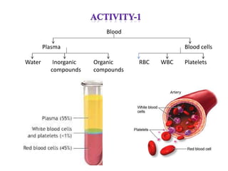 Blood
Plasma Blood cells
Water Inorganic Organic RBC WBC Platelets
compounds compounds