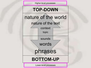 Higher-level processes


    TOP-DOWN
nature of the world
   nature of the text
           context
             topic

           sounds
         words
     phrases
   BOTTOM-UP
     Lower-level processes
 