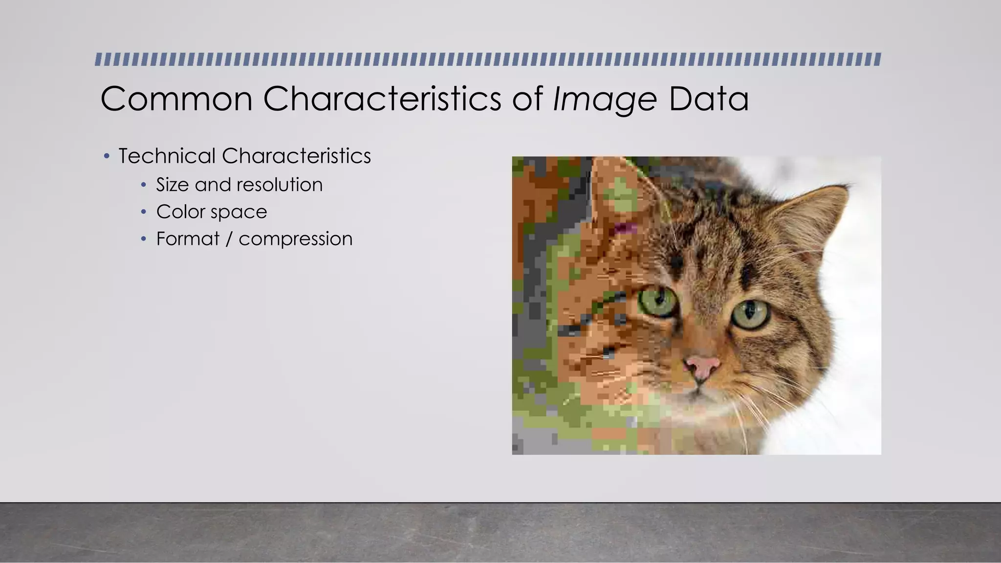 • Technical Characteristics
• Size and resolution
• Color space
• Format / compression
Common Characteristics of Image Data
 