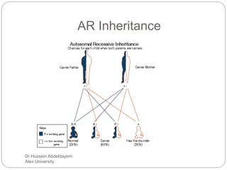 Dr Hussein Abdeldayem
Alex University
AR Inheritance
 