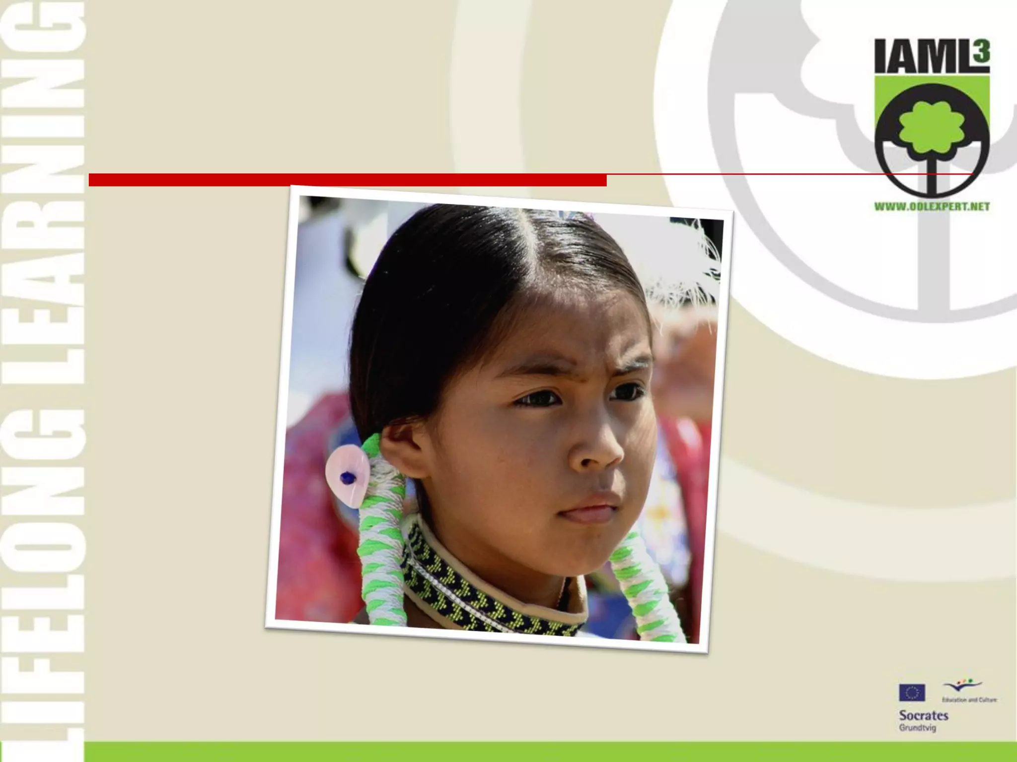 Teaching the natives in the networked space