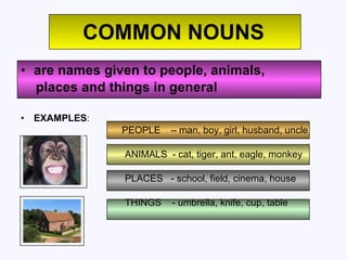 COMMON NOUNS are names given to people, animals,  places and things in general EXAMPLES :  PEOPLE  – man, boy, girl, husband, uncle ANIMALS  - cat, tiger, ant, eagle, monkey PLACES  - school, field, cinema, house THINGS  - umbrella, knife, cup, table 
