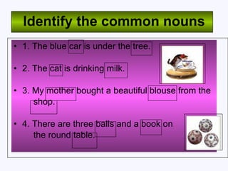 Identify the common nouns 1. The blue car is under the tree. 2. The cat is drinking milk. 3. My mother bought a beautiful blouse from the  shop. 4. There are three balls and a book on  the round table. 