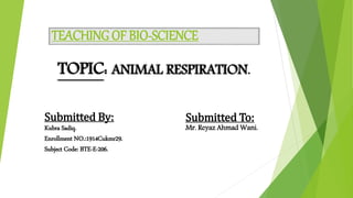 TEACHINGOF BIO-SCIENCE
TOPIC: ANIMAL RESPIRATION.
Submitted By:
Kubra Sadiq.
Enrollment NO.:1914Cukmr29.
Subject Code: BTE-E-206.
Submitted To:
Mr. Reyaz Ahmad Wani.
 