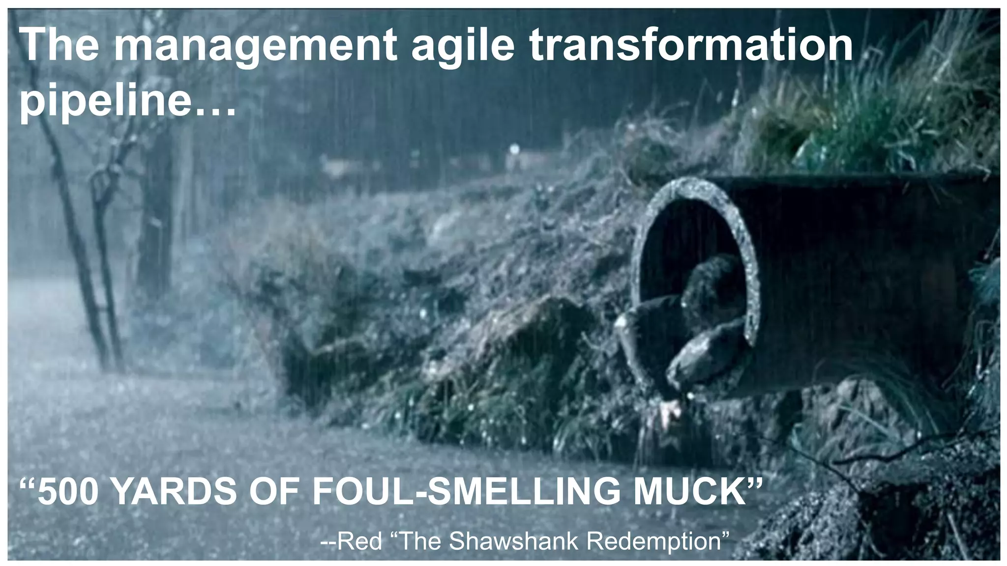 “500 YARDS OF FOUL-SMELLING MUCK”
--Red “The Shawshank Redemption”
The management agile transformation
pipeline…
 