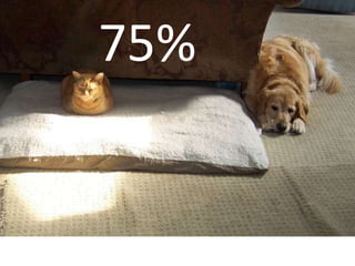 75%
 