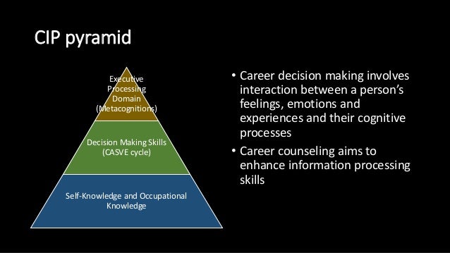 Decision Making Cognitive Information Processing Approach