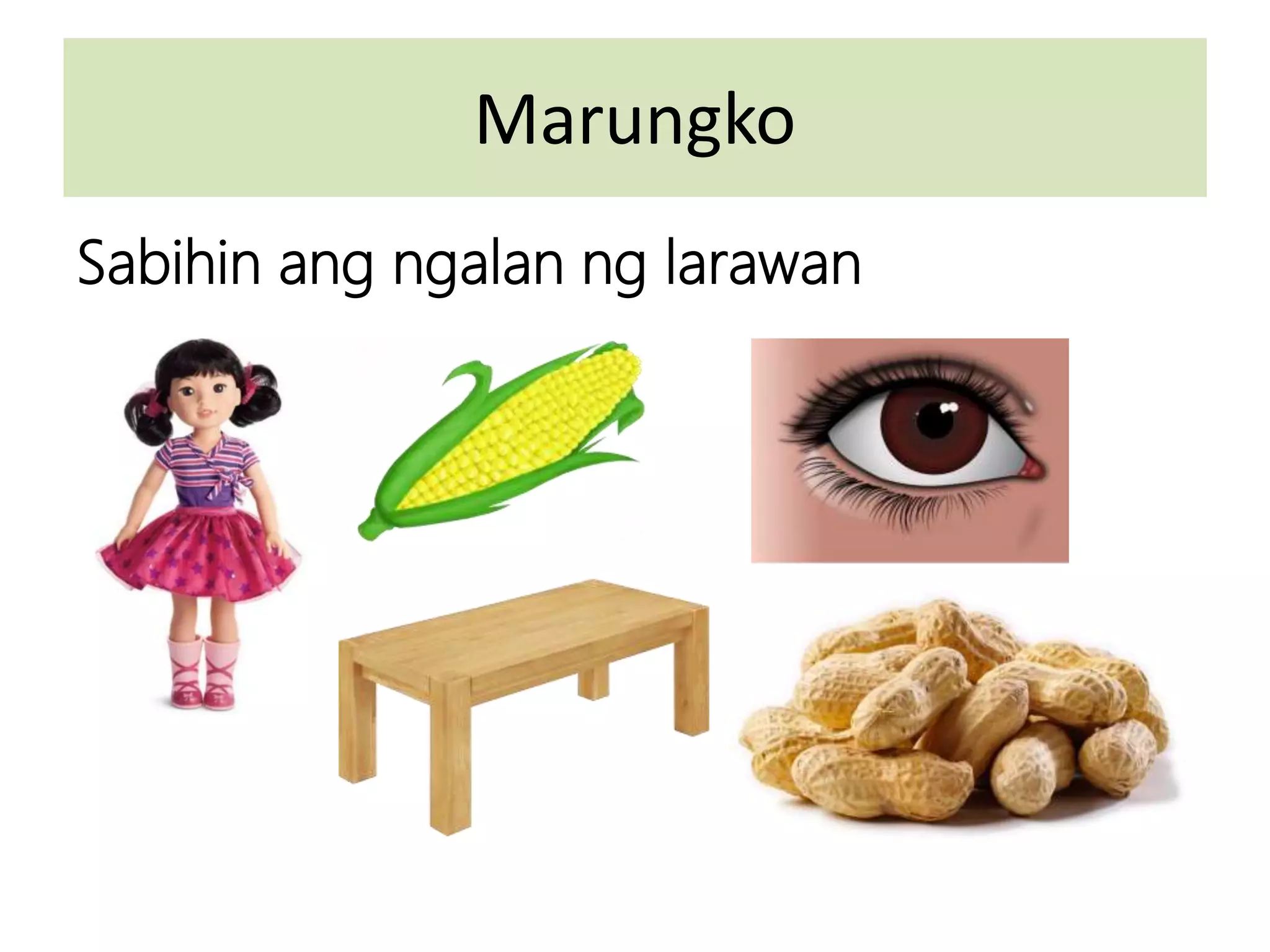 Marungko
Sabihin ang ngalan ng larawan
 