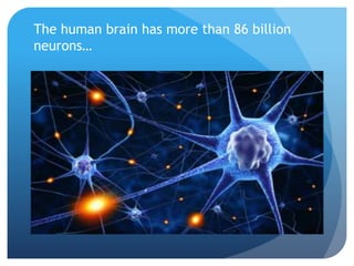 The human brain has more than 86 billion
neurons…
 