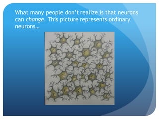 What many people don’t realize is that neurons
can change. This picture represents ordinary
neurons…
 