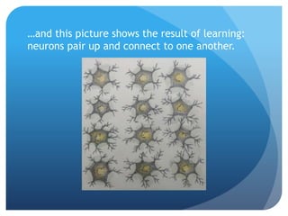 …and this picture shows the result of learning:
neurons pair up and connect to one another.
 
