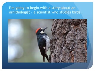 I’m going to begin with a story about an
ornithologist – a scientist who studies birds.
 