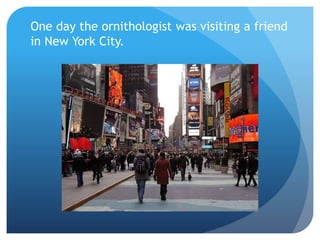 One day the ornithologist was visiting a friend
in New York City.
 
