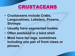 Teaching Schedule12(flat fish and Oily fish, Crustaceans, Molluscs ...