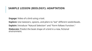 SAMPLE LESSON (BIOLOGY): ADAPTATION
Engage: Video of a bird using a tool.
Explore: Use tweezers, spoons, and pliers to "eat" different seeds/beads.
Explain: Introduce "Natural Selection" and "Form follows Function."
Elaborate: Predict the beak shape of a bird in a new, fictional
environment.
 