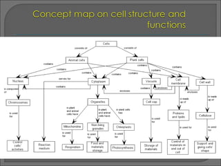 Concept Mapping In Science Ppt Teaching Science Using Concept Maps