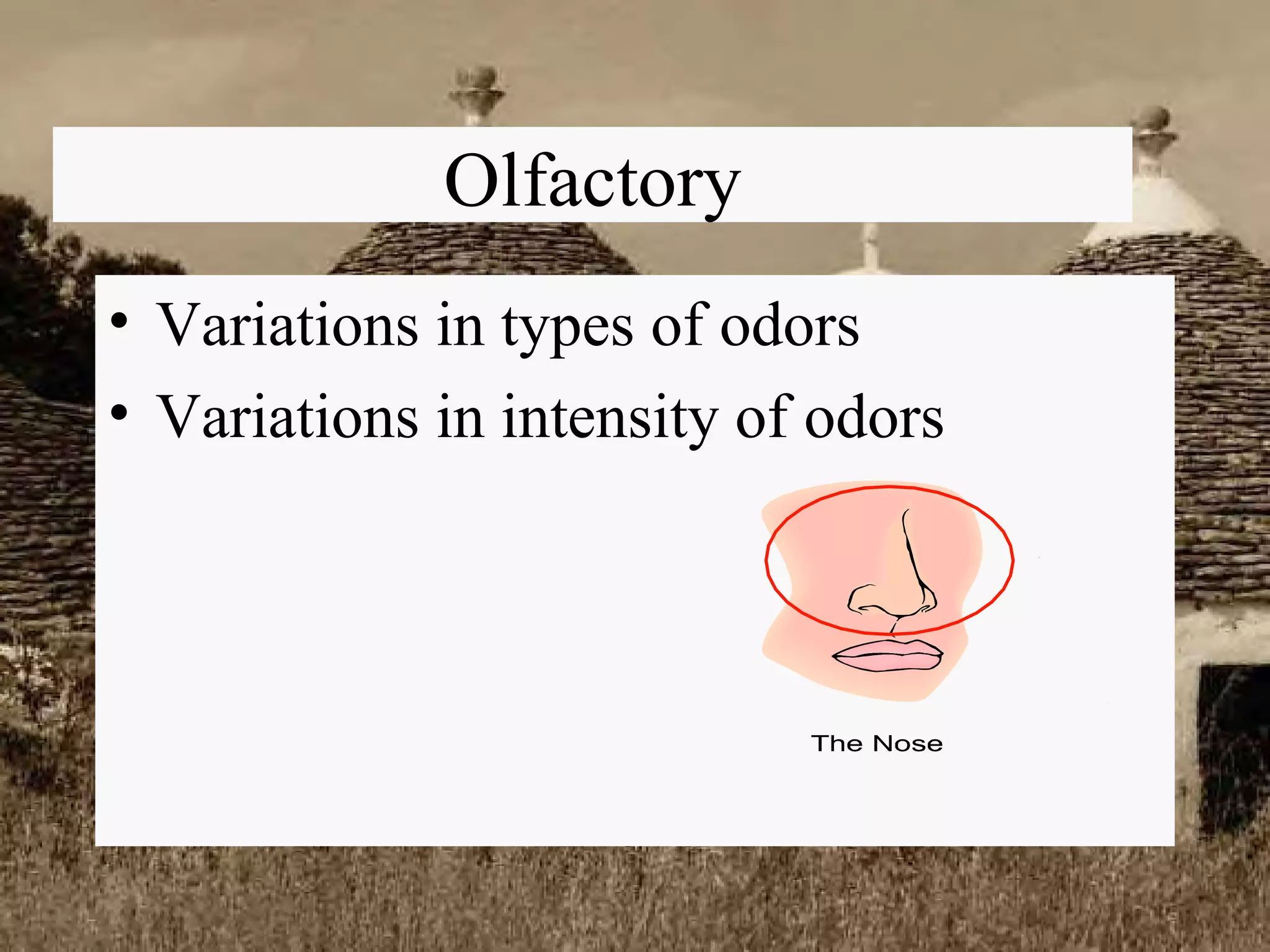 Olfactory Variations in types of odors Variations in intensity of odors 