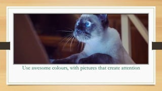 Use awesome colours, with pictures that create attention
 