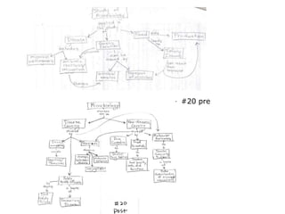 #20 pre 
