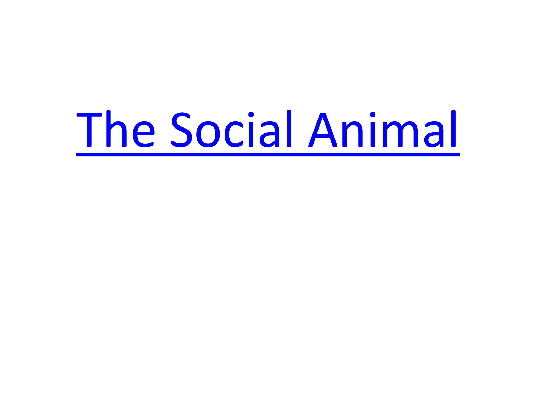 The Social Animal
 