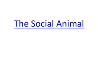 The Social Animal
 