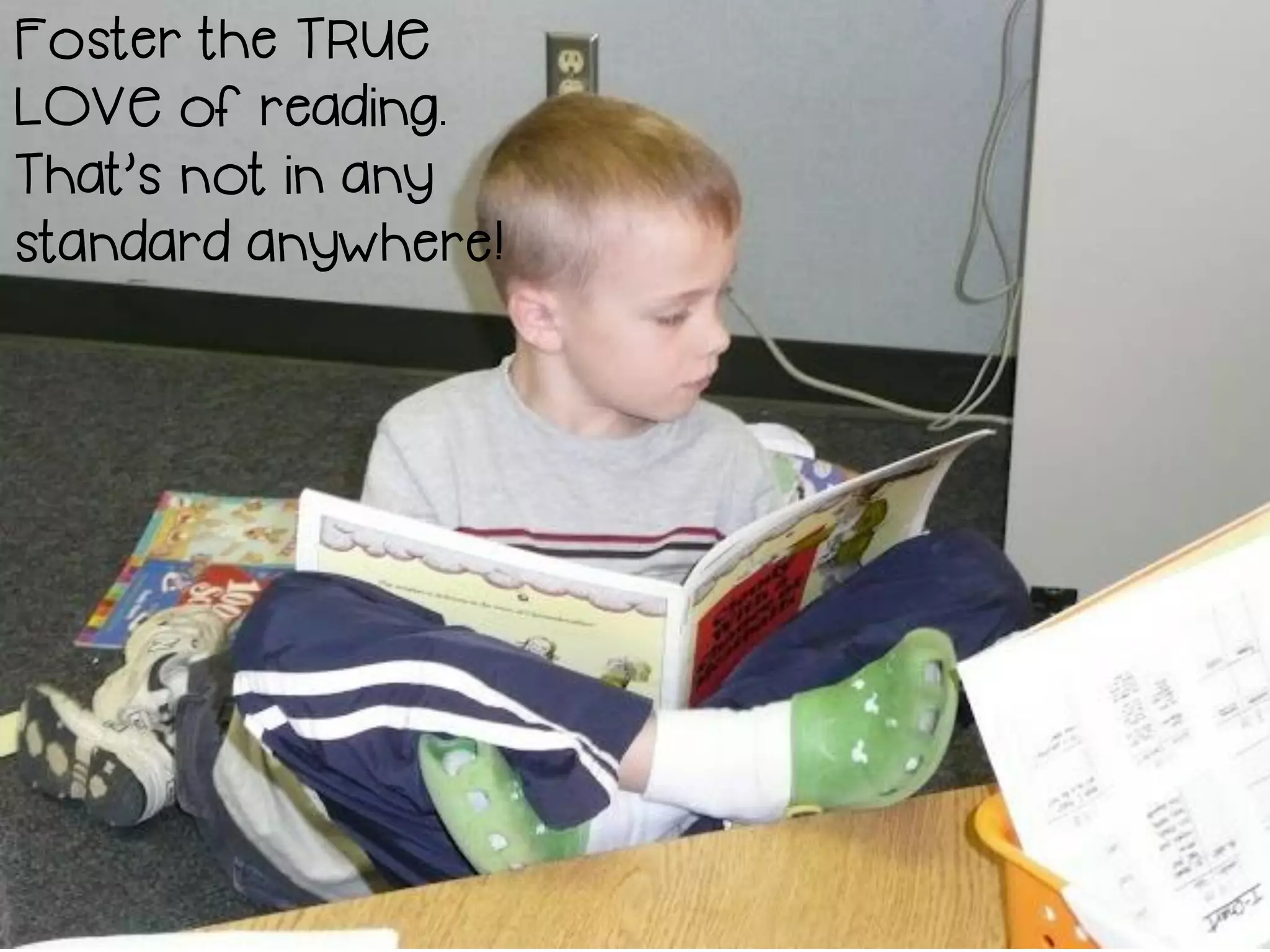 Foster the TRUE
LOVE of reading.
That’s not in any
standard anywhere!
 