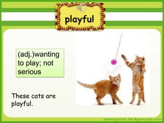 playful

(adj.)wanting
to play; not
serious
These cats are
playful.

 