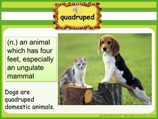 quadruped
(n.) an animal
which has four
feet, especially
an ungulate
mammal
Dogs are
quadruped
domestic animals.

 