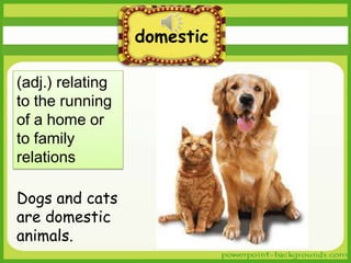 domestic
(adj.) relating
to the running
of a home or
to family
relations
Dogs and cats
are domestic
animals.

 