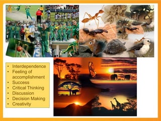 • Interdependence
• Feeling of
accomplishment
• Success
• Critical Thinking
• Discussion
• Decision Making
• Creativity