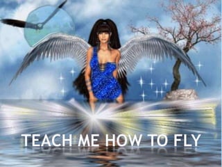 TEACH ME HOW TO FLY 