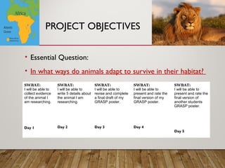 Study Animal Objective Example Animal Adaptations | PPT