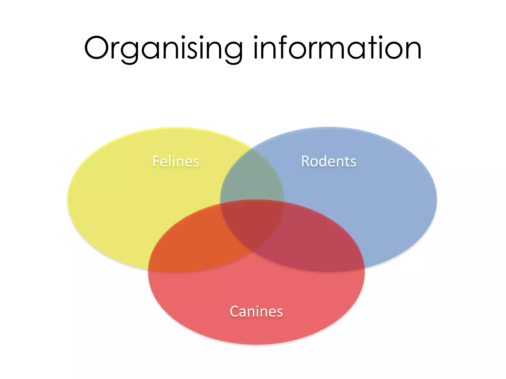 Organising information
Felines Rodents
Canines
 