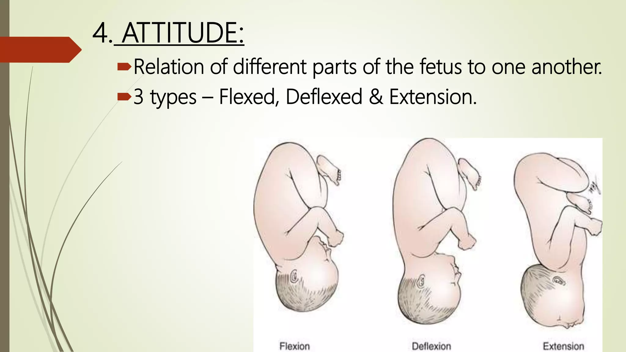 mechanism of labor | PPTX