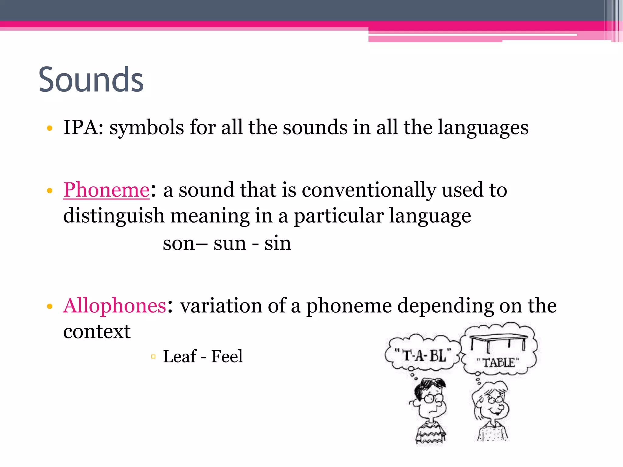 Sounds 
• IPA: symbols for all the sounds in all the languages 
• Phoneme: a sound that is conventionally used to 
distinguish meaning in a particular language 
son– sun - sin 
• Allophones: variation of a phoneme depending on the 
context 
▫ Leaf - Feel 
 
