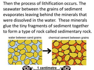 SEDIMENTARY ROCK (teach) | PPTX