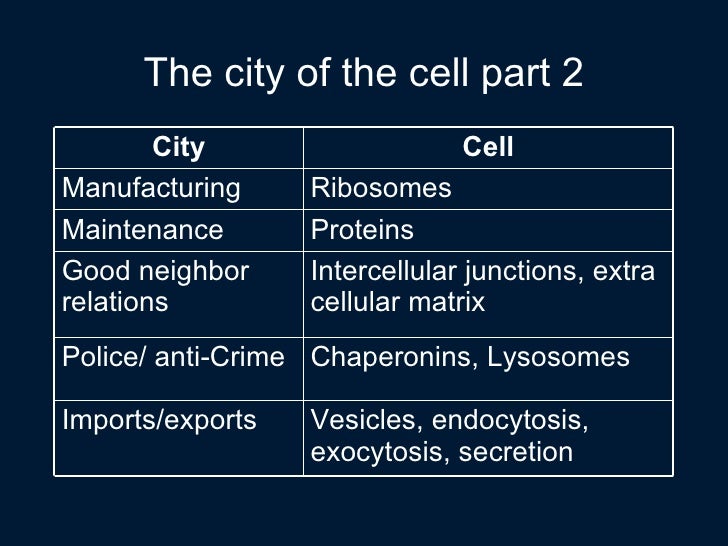 Teaching With Toys and Analogies diagram of cell ribosomes 