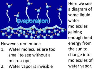 Here we see
                              a diagram of
                              some liquid
                              water
                              molecules
                              gaining
                              enough heat
However, remember:            energy from
1. Water molecules are too    the sun to
   small to see without a     change into
   microscope                 molecules of
2. Water vapor is invisible   water vapor.
 