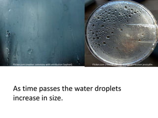 Flicker.com creative commons with attribution SophieG   Flicker.com creative commons with attribution jessicafm




As time passes the water droplets
increase in size.
 
