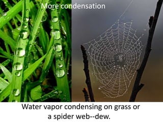 More condensation




Water vapor condensing on grass or
       a spider web--dew.
 