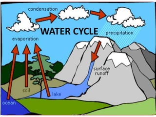 WATER CYCLE

       The Water Cycle

By Moira Whitehouse PhD
 